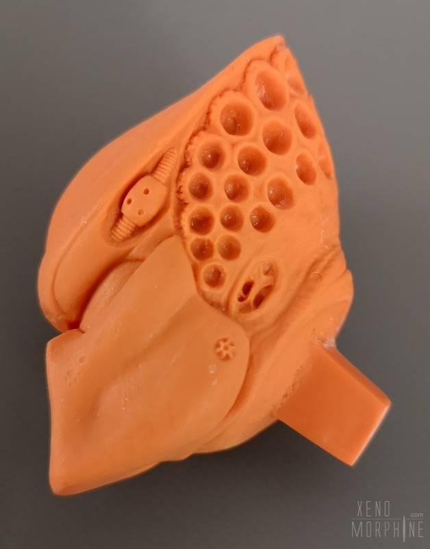 Narin´s Original Predator 2.0 - Xenomorphine