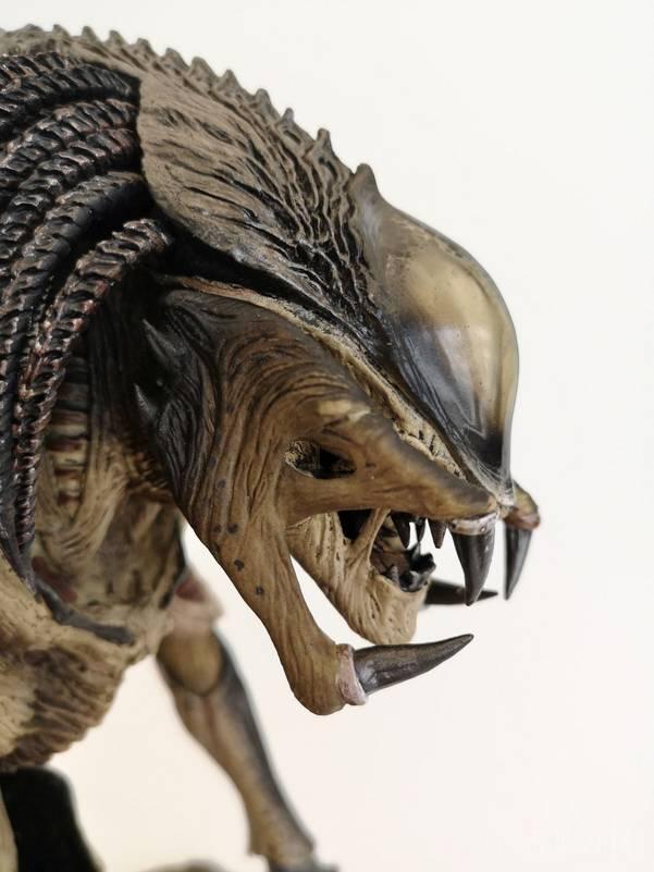 download predalien figure neca download predalien figure neca