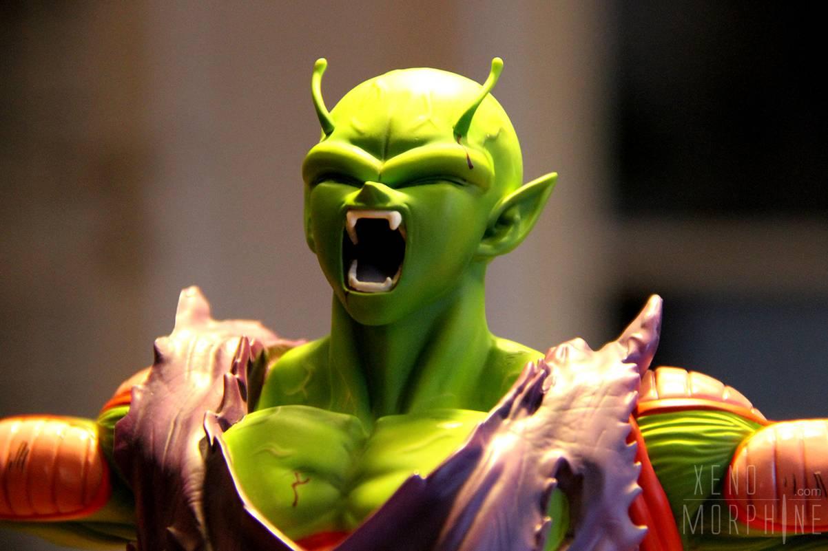 piccolo in real life